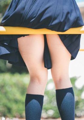 女拳 电视剧_1080P免费高清观看